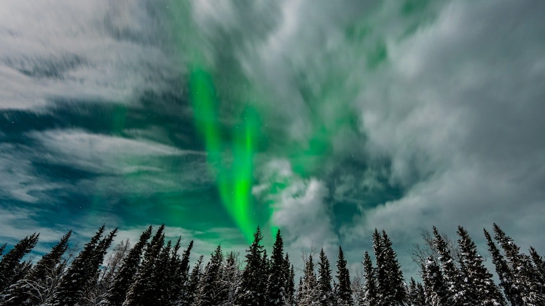 Photo Magnetic field