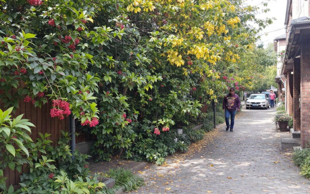 découvrez les 6 qualités essentielles des individus qui cultivent une existence sereine pour vivre en paix et harmonie au quotidien.