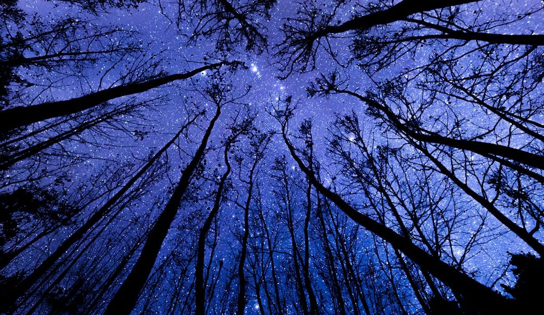 Prévisions astrologiques du mercredi 31 décembre 2025 : découvrez ce que les étoiles réservent à chaque signe du zodiaque