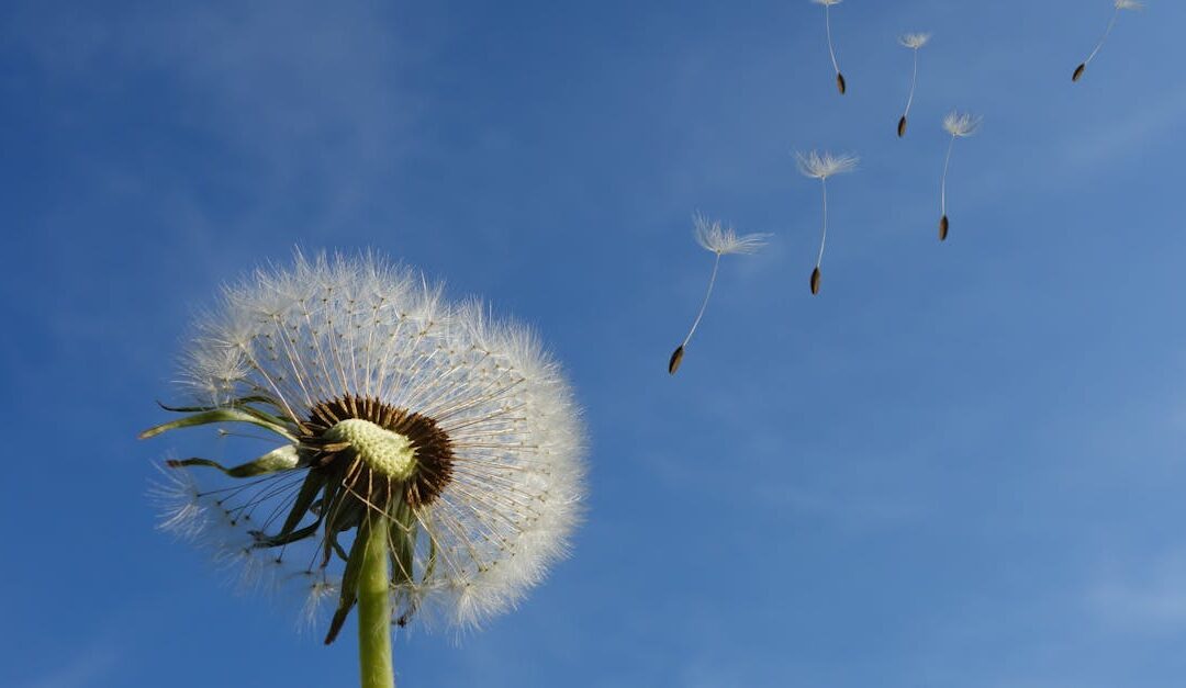 Libre-arbitre : La précieuse capacité de choisir qui définit l’humanité