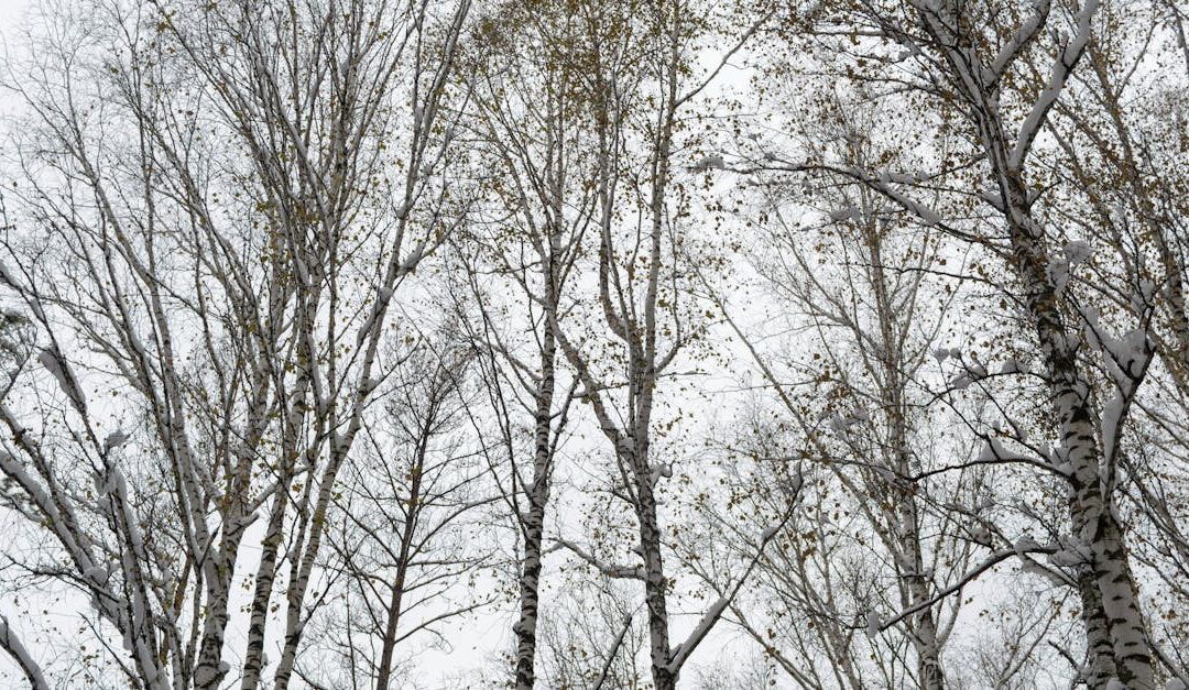 découvrez comment identifier et vivre votre véritable but dans la vie pour donner du sens à chaque journée et atteindre un épanouissement personnel profond.