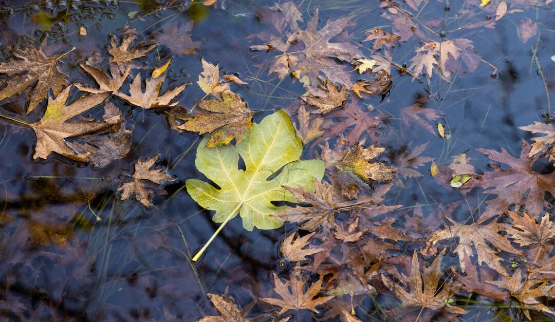 7 indices incontournables qui annoncent un bouleversement majeur dans votre vie