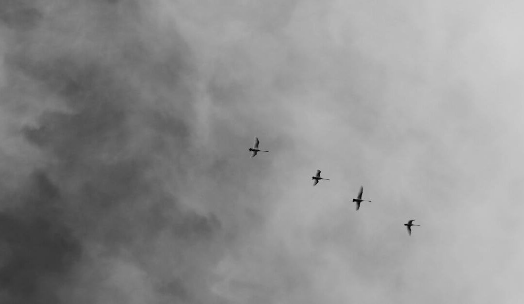 7 avantages incontournables pour vivre avec un minimum d’encombrement chez soi