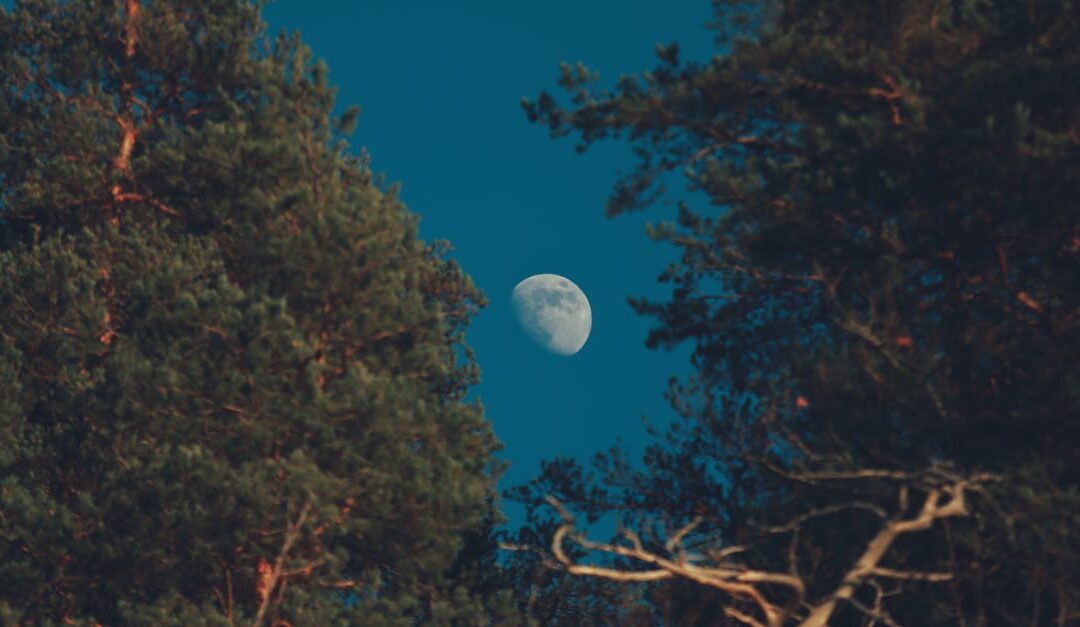 découvrez tout sur la super lune : phénomène naturel spectaculaire où la pleine lune apparaît plus grande et plus lumineuse dans le ciel. informations, dates et conseils d'observation.