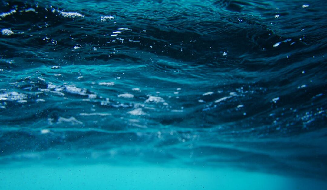 découvrez le concept de synchronicité, cette coïncidence significative qui relie événements et pensées de manière mystérieuse et fascinante.