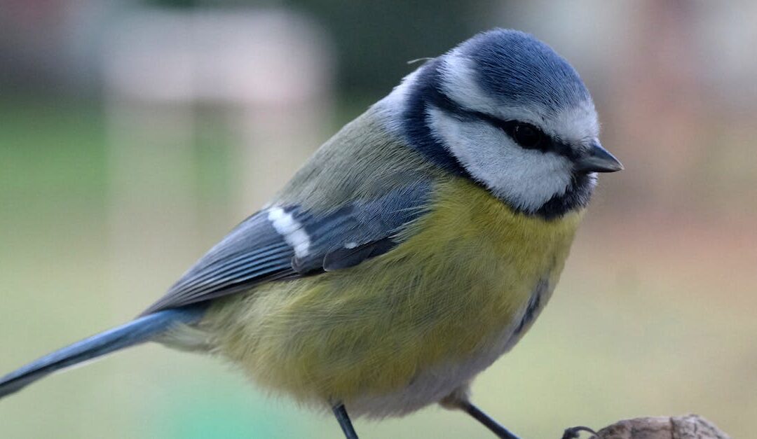 prévisions astrologiques détaillées pour mieux comprendre votre avenir et orienter vos décisions quotidiennes avec précision.